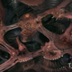 Illustration for article titled A Look At The Bloom From Torment: Numenera